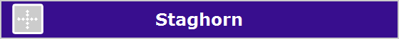 Staghorn