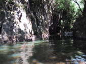 Rob in sacred pool