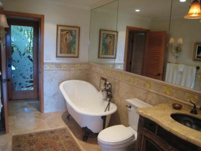 Robin's bath