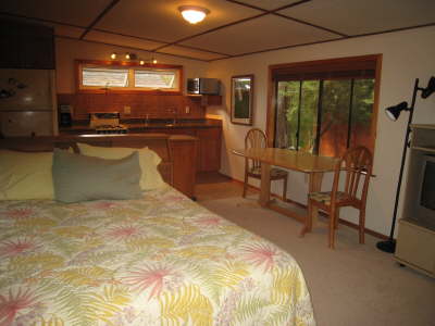 Bed and Kitchen